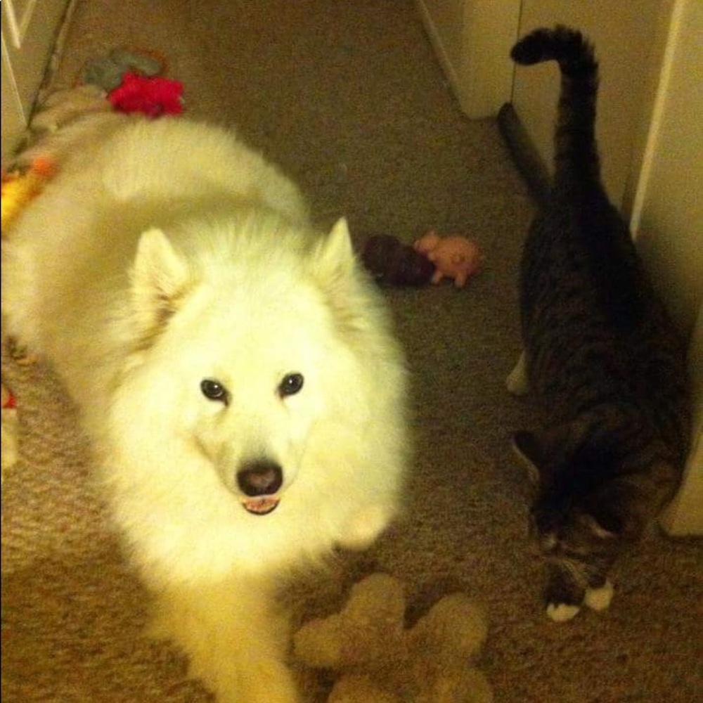 Meet your Posher, Ann